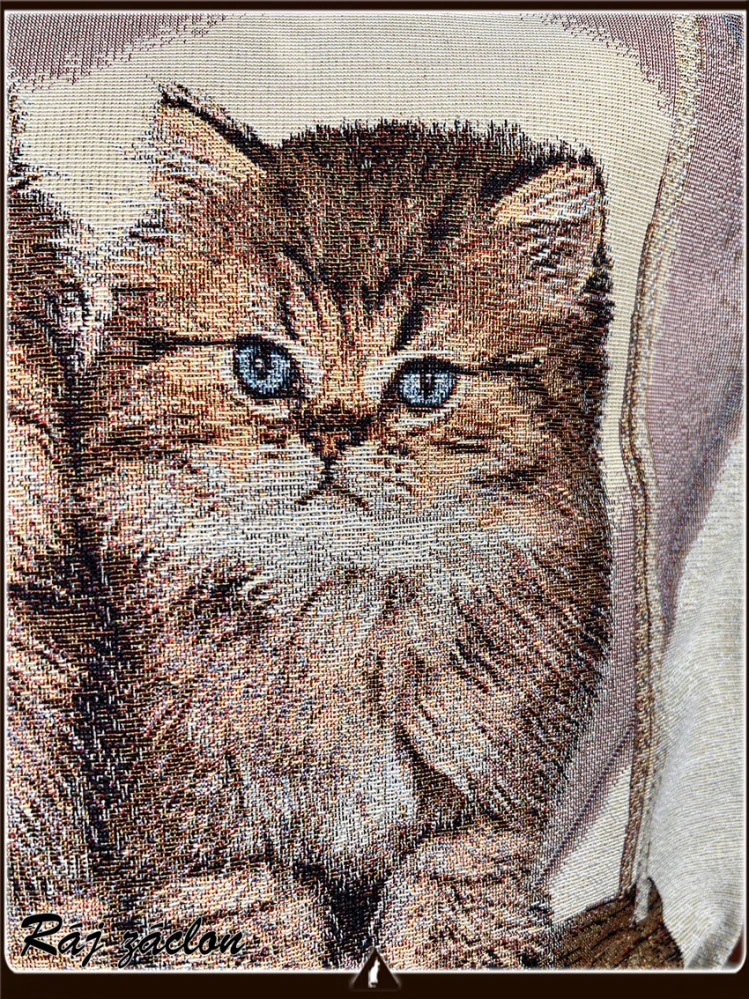 Povlak na polštář Kočky - Potah na polštářek.